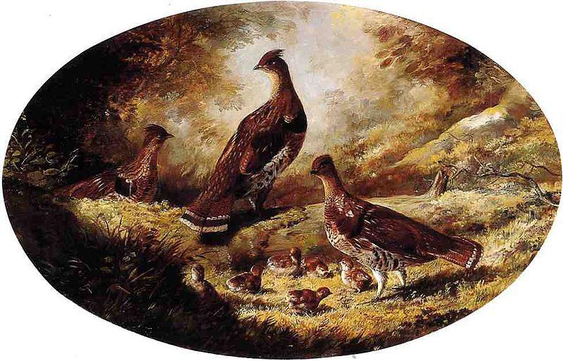 Ferdinand Richardt Grouse Family oil painting image